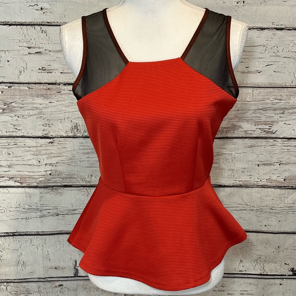 LADAKH "On the Horizon" Peplum Top